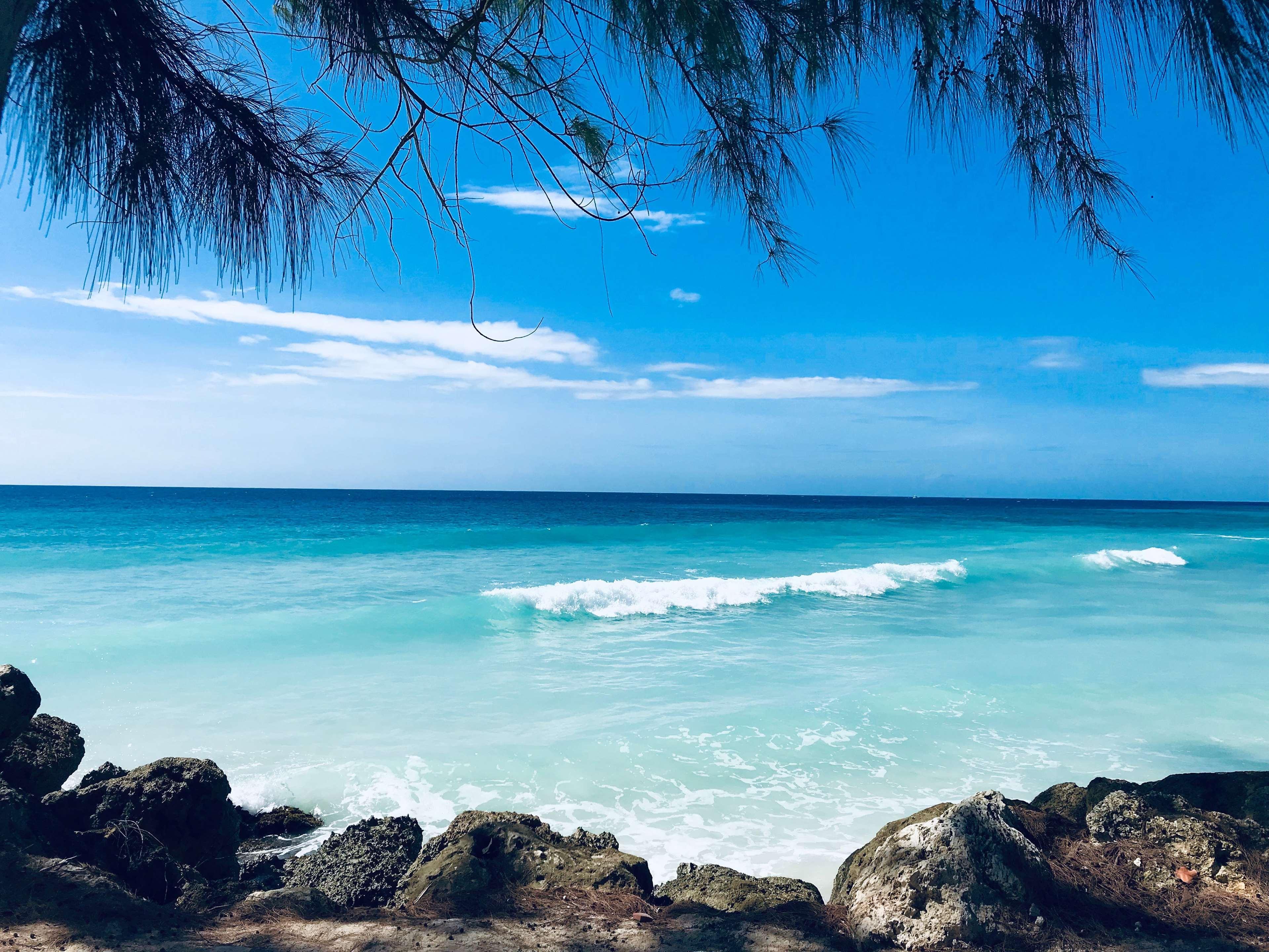 קרייסט צ'רץ' Divi Southwinds Beach Resort מראה חיצוני תמונה